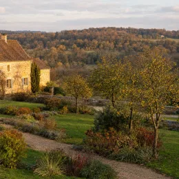 Pommier 'Winter gold' (Malus sieboldii) — jardin campagnard arboré au coucher du soleil