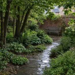 Fougère persistante (Cyrtomium fortunei) — massif de vivaces ombragées le long d'un sentier