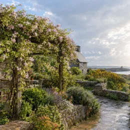 Jasmin blanc 'Summer scent' (Jasminum) — grimpante fleurie couvrant une pergola en pierre · Photo d'illustration