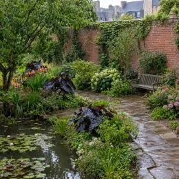 Oreille d'éléphant géante noir au coeur violet 'Painted black gecko' (Colocasia esculenta) — massif de feuillages sombres près d'un bassin · Photo d'illustration