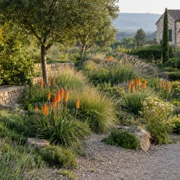 Kniphofia 'Orange® tnknipo' — massif méditerranéen avec épis floraux orange