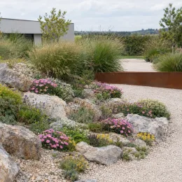 Aster 'Happy end' (Aster alpinus) — massif de vivaces fleuries dans rocaille moderne · Photo d'illustration