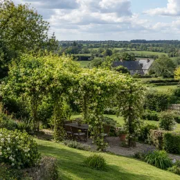 Akébie 'Cream form' (Akebia quinata) — pergola couverte de liane fleurie dans grand jardin · Photo d'illustration