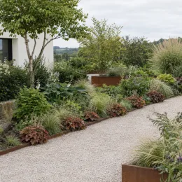 Heuchères 'Caffe vienna' (Heuchera) — massif contemporain le long d'une allée gravillonnée · Photo d'illustration