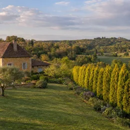 Cyprès de leyland doré 'Pyramidalis aurea' (Cupressocyparis leylandii) — haie conifère alignée dans grand jardin paysager
