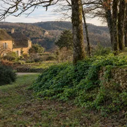 Ronce d’ichang 'Ichangensis' (Rubus) — maison en pierre et jardin arboré recouvert de lierre · Photo d'illustration