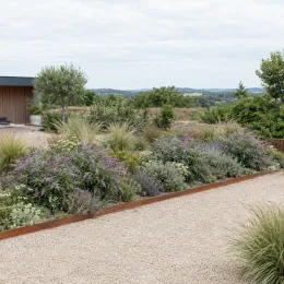 Arbre aux papillons 'Sophie' (Buddleia davidii) — massif arbustif fleuri dans jardin minéral contemporain · Photo d'illustration