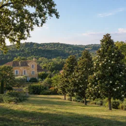 Magnolia de la galissonnière 'Galissoniere' (Magnolia grandiflora) — alignement d'arbres ornementaux devant une maison de campagne