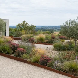 Sedum 'Cherry' (Sedum nova) — massifs de vivaces colorées bordant des allées de gravier · Photo d'illustration
