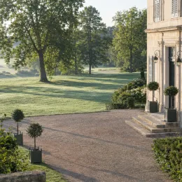 Troène du japon (Ligustrum jonandrum) — petits arbustes topiaires en pot devant maison