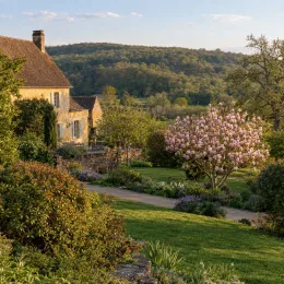 Magnolia 'George henry kern' — arbre couvert de fleurs roses dans jardin