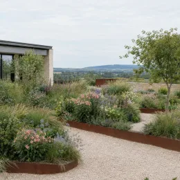 Alstrœmères (Alstroemeria pierre) — massif de vivaces fleuries le long d’un chemin · Photo d'illustration