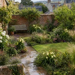 Hemerocalle 'Carnival' — massif fleuri le long d'une allée pavée · Photo d'illustration