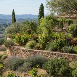Gingembre ornemental (Hedychium poupre) — massif fleuri en terrasse devant maison en pierre · Photo d'illustration