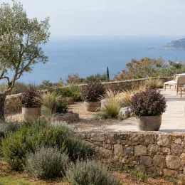 Coprosoma 'Eclipse' (Coprosoma repens) — terrasse méditerranéenne avec arbustes en pot et vue mer