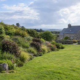 Diervillée 'Kodiak black' (Diervilla rivularis) — massif arbustif coloré devant une maison en pierre