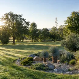 Dasylire 'Sp zacatecas' (Dasylirion cedrosanum) — massif de graviers avec plantes graphiques au jardin · Photo d'illustration
