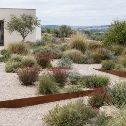 Gaura rouge compacte 'Rubra nana' (Gaura lindheimeri) — massif sec avec graminées et vivaces fleuries
