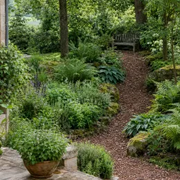 Menthe 'Mojito' (Mentha × piperita) — jardin ombragé avec massifs et sentier en copeaux