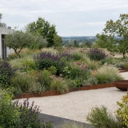 Sauge 'Amistad' (Salvia) — massif de vivaces fleuries bordant une allée gravillonnée · Photo d'illustration