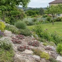 Joubarbe 'Chick charms steel appeal' (Sempervivum) — massif de rocaille végétalisé dans un jardin paysager · Photo d'illustration