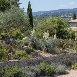 Yucca 'Katana' — massif méditerranéen en terrasse avec plantes graphiques