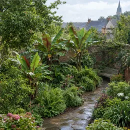 Bananier japonais (Musa himalayensis) — massif exotique luxuriant le long d’un sentier pavé · Photo d'illustration
