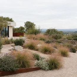 Eragrostis 'Pure love grass' (Eragrostis trichodes) — touffes d’herbes ornementales dans un jardin sec · Photo d'illustration