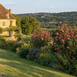 Althéa 'Pompei minsygrou02' (Hibiscus syriacus) — massif fleuri devant maison en pierre, paysage