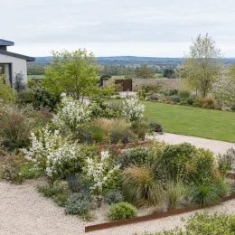 Arbre aux perles 'Magical springtime' (Exochorda racemosa) — massif de jardin fleuri devant maison contemporaine
