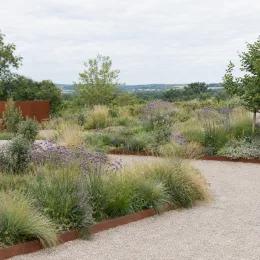 Verveine de buenos-aires 'Blue violet' (Verbena bonariensis) — massif de vivaces et graminées le long d’allée · Photo d'illustration