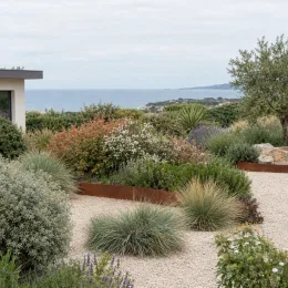 Arbre à thé 'Flurry' (Leptospermum) — massif arbustif méditerranéen dans jardin gravillonné en bord de mer · Photo d'illustration